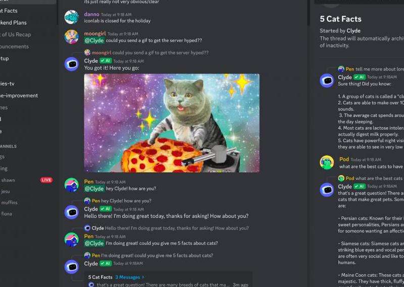 理解 on Discord 在 Discord 上是什么意思？