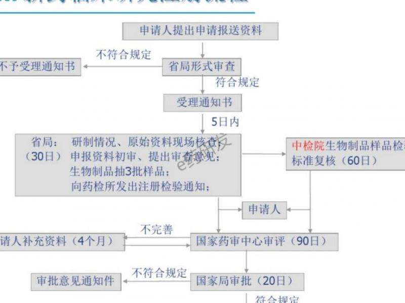 注册流程 如何根据英文介绍注册Discord？